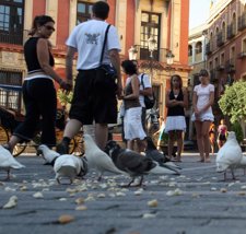 Turistas en el casco histórico de Sevilla.