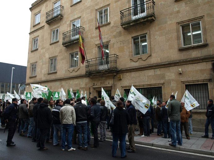 Concentración De Ganaderos En Salamanca 