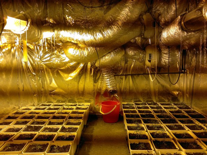 Material Incautado Por La Guardia Civil En L'alcudia (Valencia).