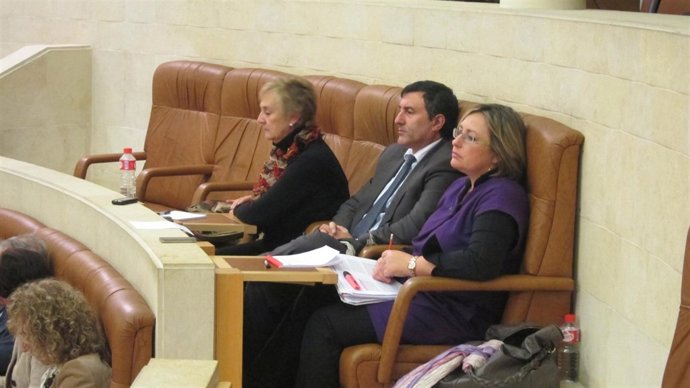 Francisco Fernández Mañanes, En Su Escaño En El Parlamento