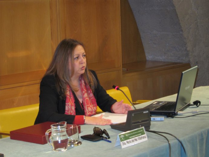 Directora Del Patronato Alhambra, María Del Mar Villafranca