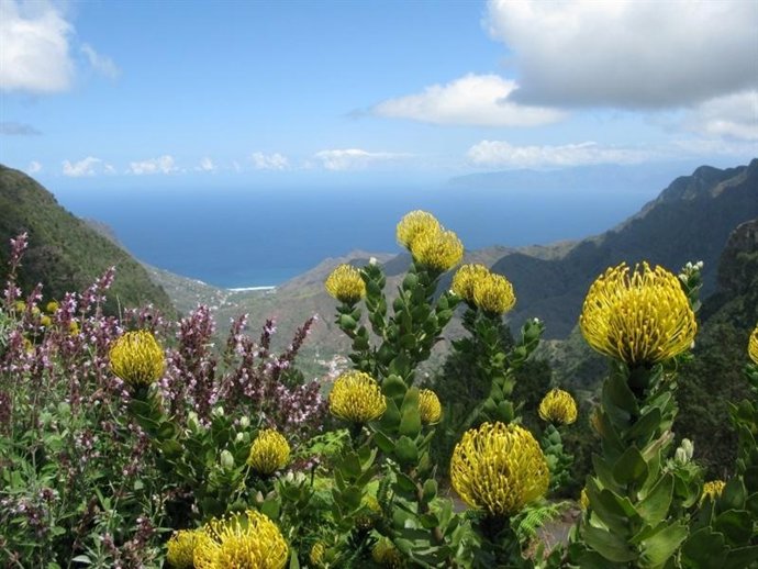 La Gomera promociona el Silbo en Fitur