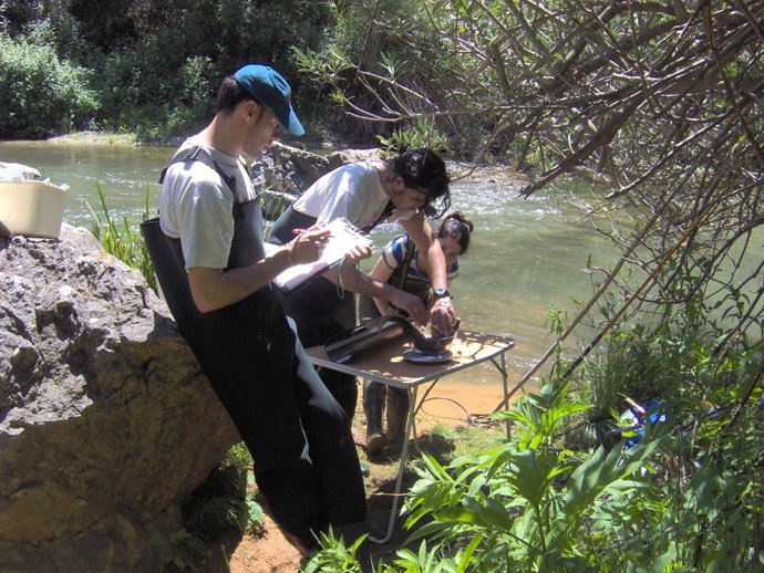 La UPV Analiza La Riqueza De Los Ríos Mediterráneos