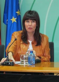 Navarro, que apoya a Rubalcaba, sobre Chacón: "No habría peor favor a una mujer que elegirla porque es mujer"