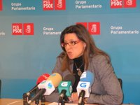 El PSOE cree que la caída de la producción industrial en Galicia muestra "el fracaso de la política económica" de Feijóo