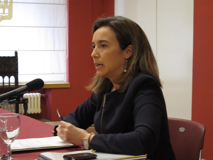 Gamarra, Durante Su Comparecencia