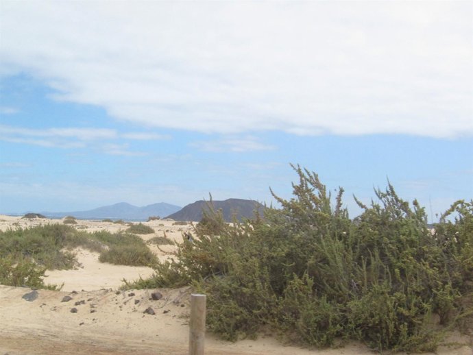 Paisaje Fuerteventura