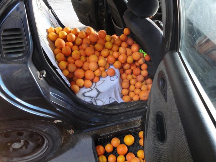 Naranjas Sustraídas Recuperadas En Sollana