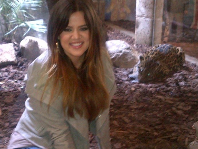 Khloe Kardashian En Un Terrarium