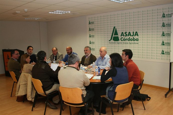 Reunión Del Grupo Trabajo De Aceite Oliva De Asaja-Andalucía