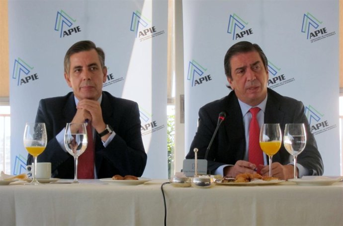 Rafael Sánchez-Lozano, Consejero Delegado De Iberia