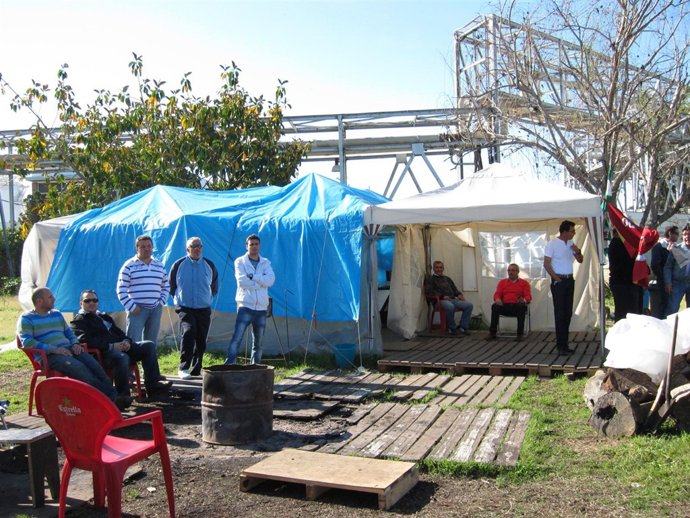 Trabajadores De Foret Acampados.