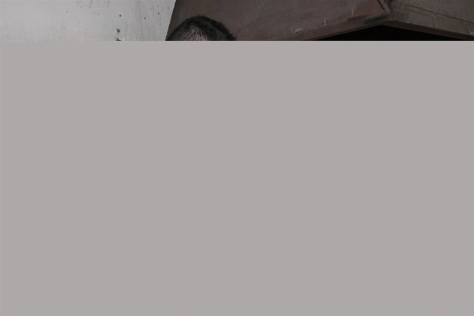 TRABAJADOR FUNDE HIERRO