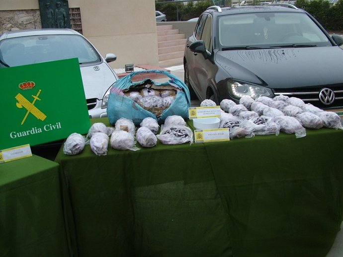 Droga Incautada En La Operación