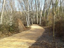 Actuación Realizada