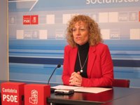 El PSOE exige a Diego que deje de actuar como un "mero espectador" y adopte medidas para garantizar el empleo en Teka