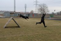 La Policía Local de Torrejón se incauta 73.000 euros en droga gracias a la unidad canina