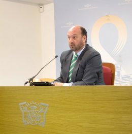 El Portavoz Del Equipo De Gobierno Del Ayuntamiento De Sevilla, Francisco Pérez 