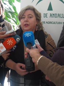 La Consejera De Agricultura Y Pesca De La Junta De Andalucía, Clara Aguilera.