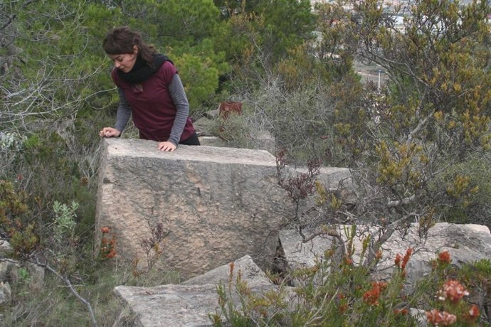 Hallazgo En Los Yacimientos De Cales I Atalaies De Villajoyosa 