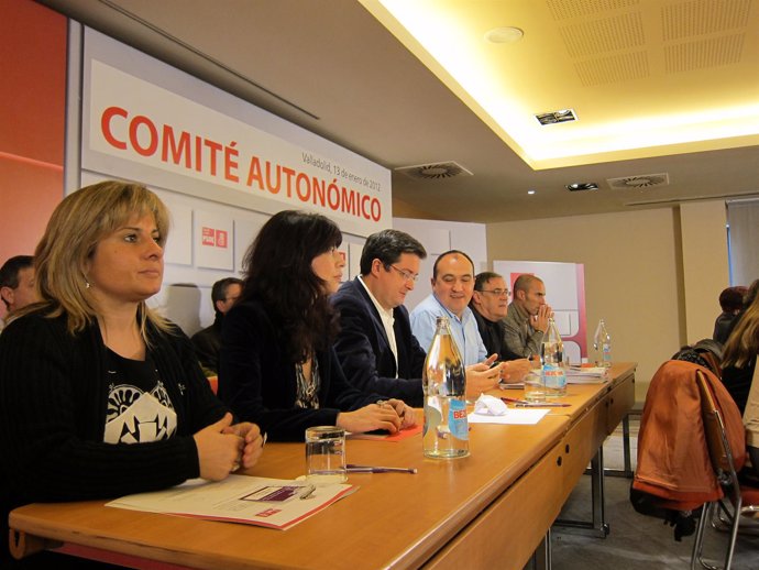 Comité Autonómico Del PSOE