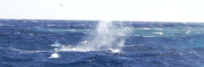 Piroclastos En El Volcán De El Hierro