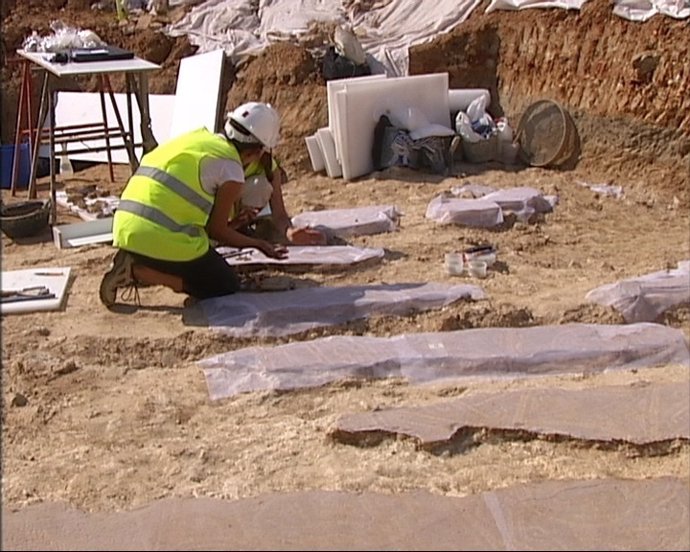 Trabajos Para Retirar El Mosaico Romano Hallado En La Sagrera