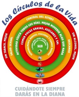 Cartel De Los Círculos De La Vida