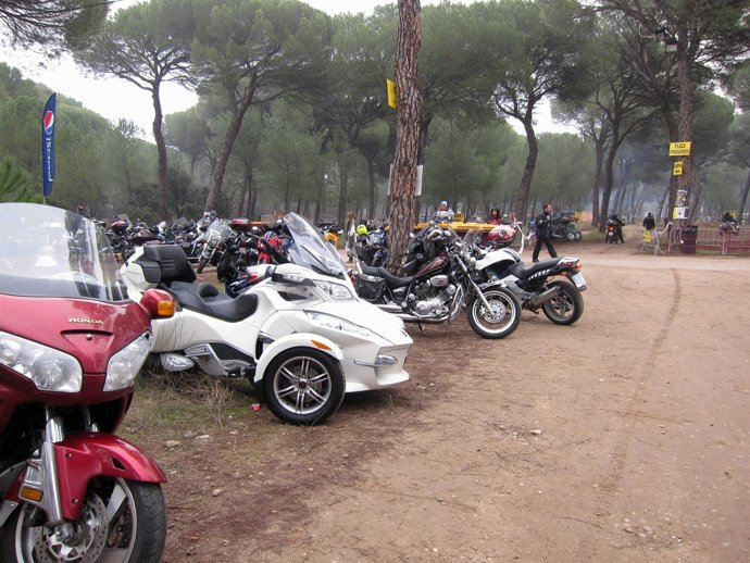 Concentración Invernal Pingüinos