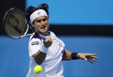David Ferrer 