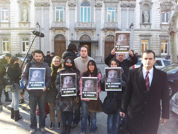 Animalistas Ante El TS