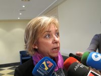 El Gobierno de Aragón pretende "estimular" la captación de amigos de la Fundación Goya