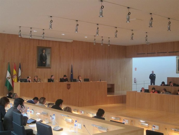 Imagen Del Pleno Ordinario De Enero