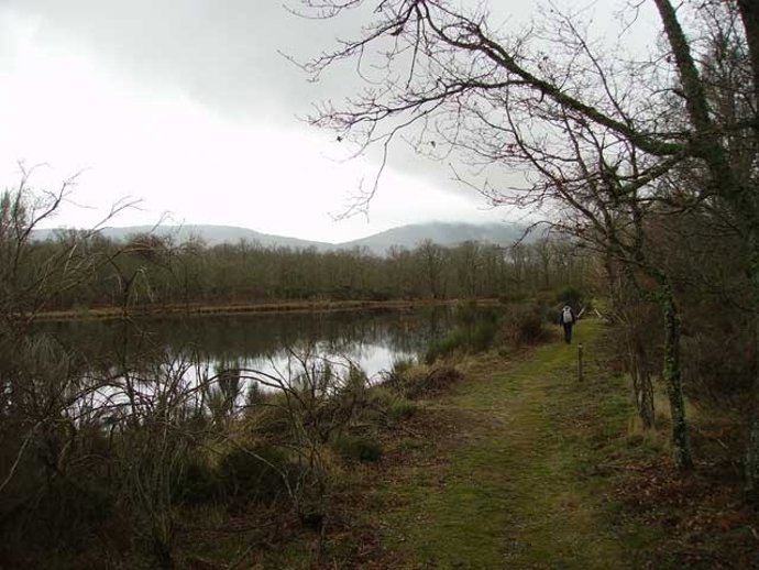 Camino De Las Raíces, Salamanca