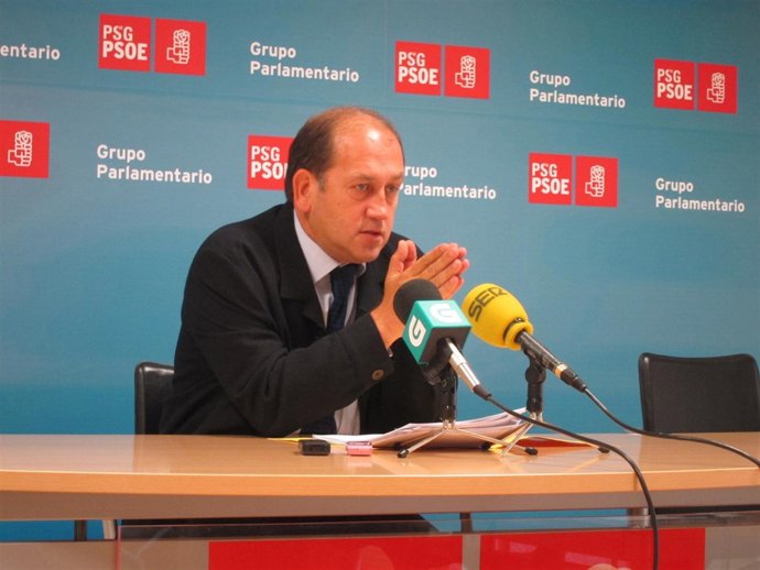 Xoaquín Fernández Leiceaga, Psdeg, En Rueda De Prensa