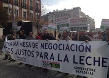 Manifestación Ovino De Leche