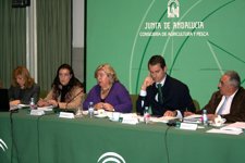 La Consejera De Agricultura Y Pesca, Clara Aguilera, Con El Sector Oleícola