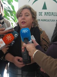 La Junta, "tremendamente preocupada" ante el posible acuerdo comercial con Marruecos