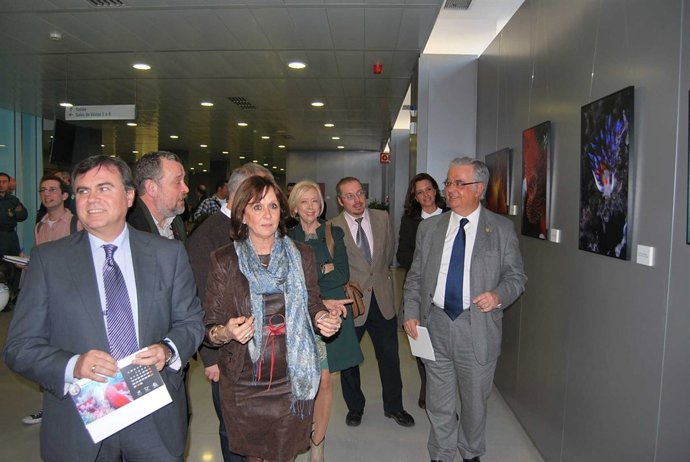 Remedios Martel Inaugura Una Muestra De Fotografías Subacuáticas