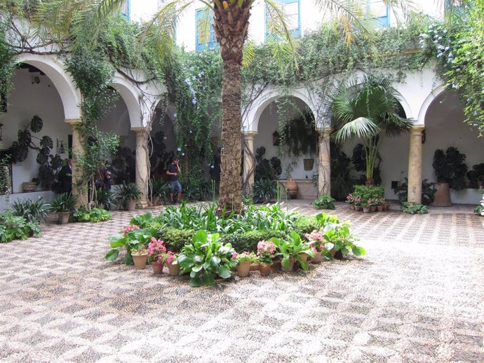 Patio De Entrada Al Palacio De Viana