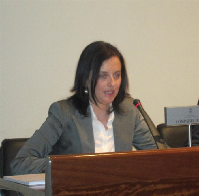 La Consejera Paloma Menéndez Durante Su Comparecencia.