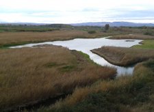 Galacho De Los Fornazos