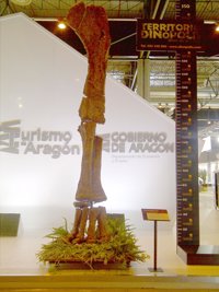 Piezas paleontológicas promocionan Dinópolis