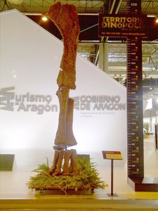 Pata De Tres Metros De Altura