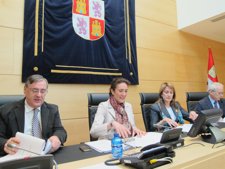 Diputación Permanente De Las Cortes De Castilla Y León