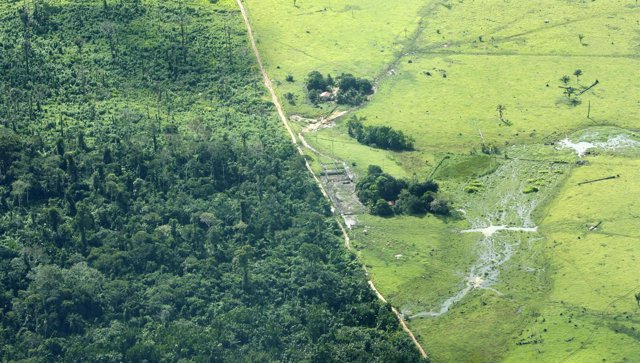 Deforestación En El Amazonas, En Brasil