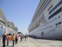 Las asociaciones cruceristas garantizan que es una industria segura que opera con estrictas normas