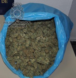 Marihuana Incautada Por La Policía Nacional En Torremolinos
