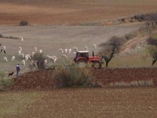 Asaja Lamenta La Situación Del Sector