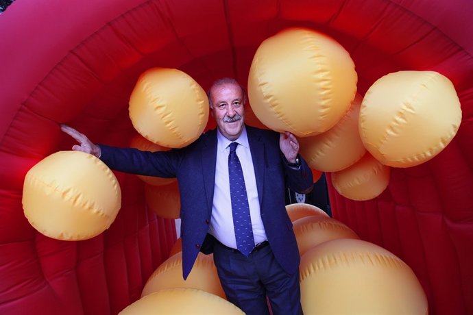 19.01.2012, Barcelonavicente Del Bosque, Entrenador De La Selección Española De 